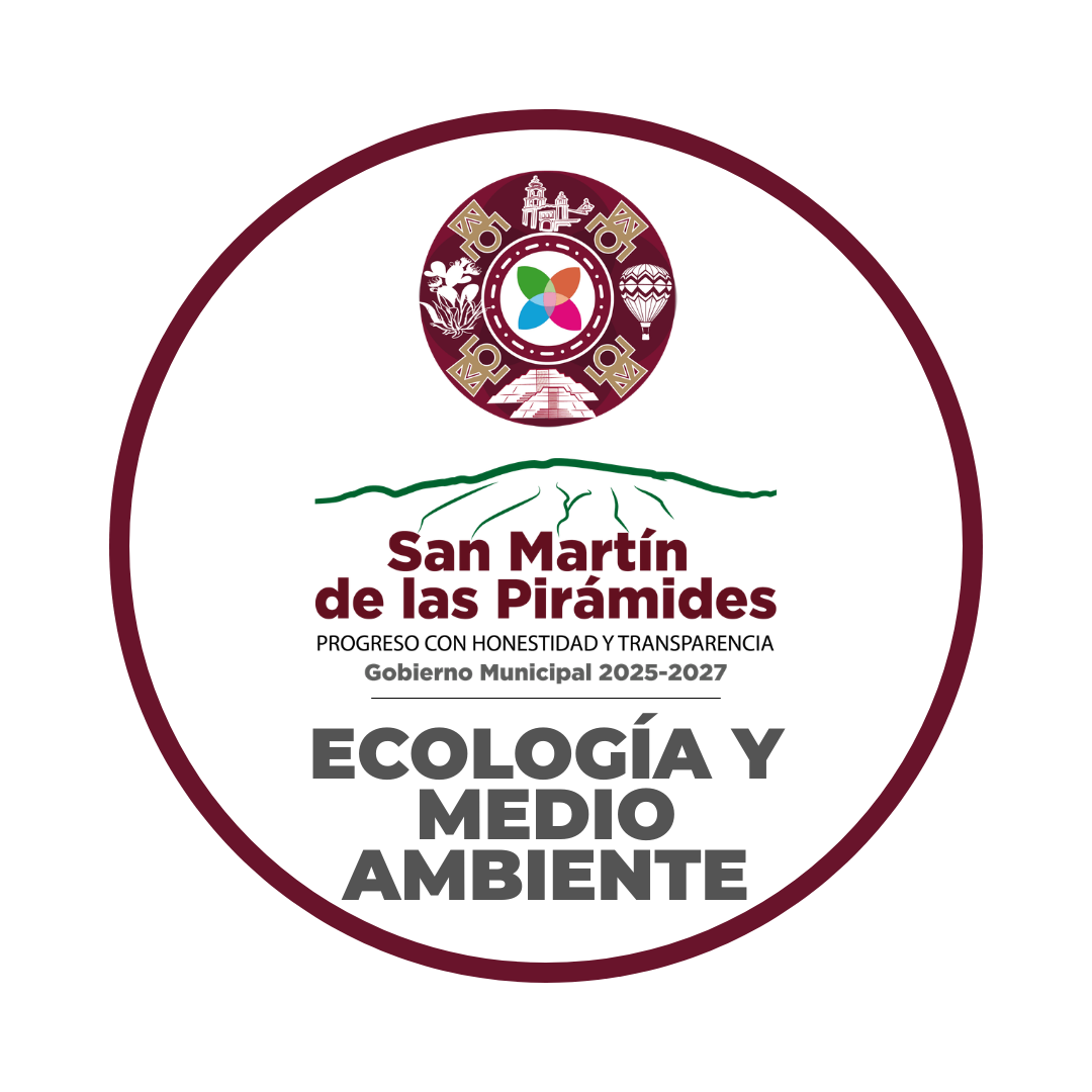 Ecología